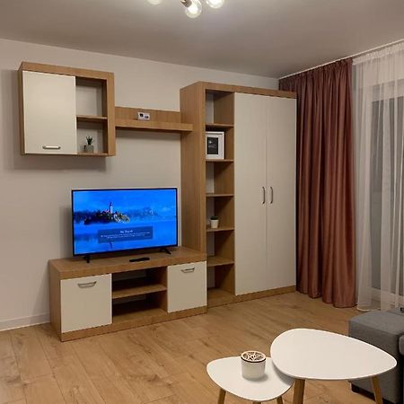 Sunny Apartment In Suceava Eksteriør bilde